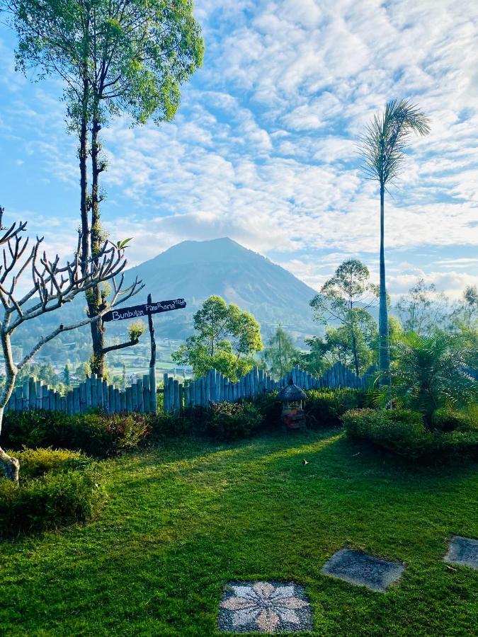 Bunbulan Panorama Bed & Breakfast Kintamani  Ngoại thất bức ảnh