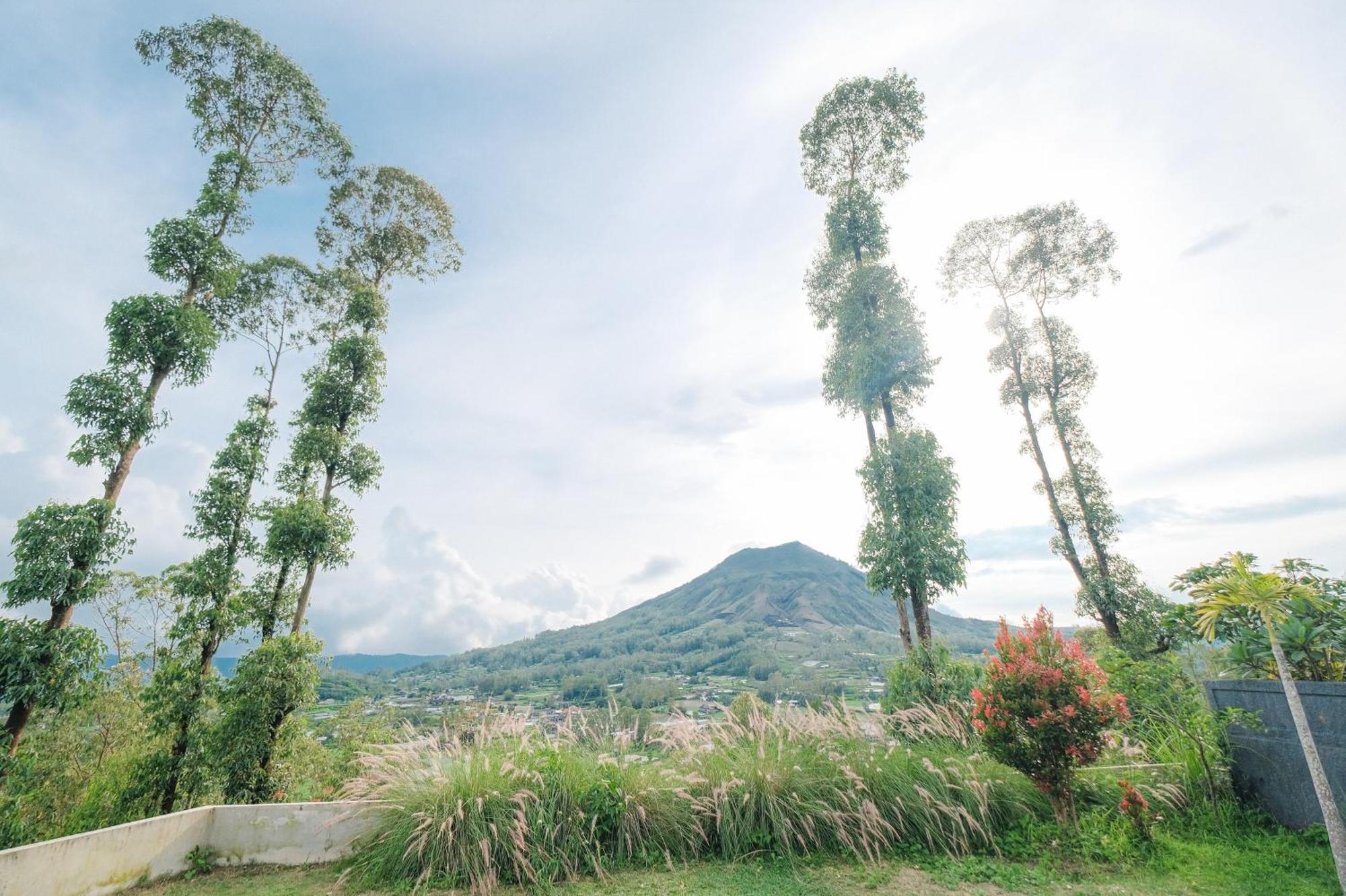 Bunbulan Panorama Bed & Breakfast Kintamani  Ngoại thất bức ảnh